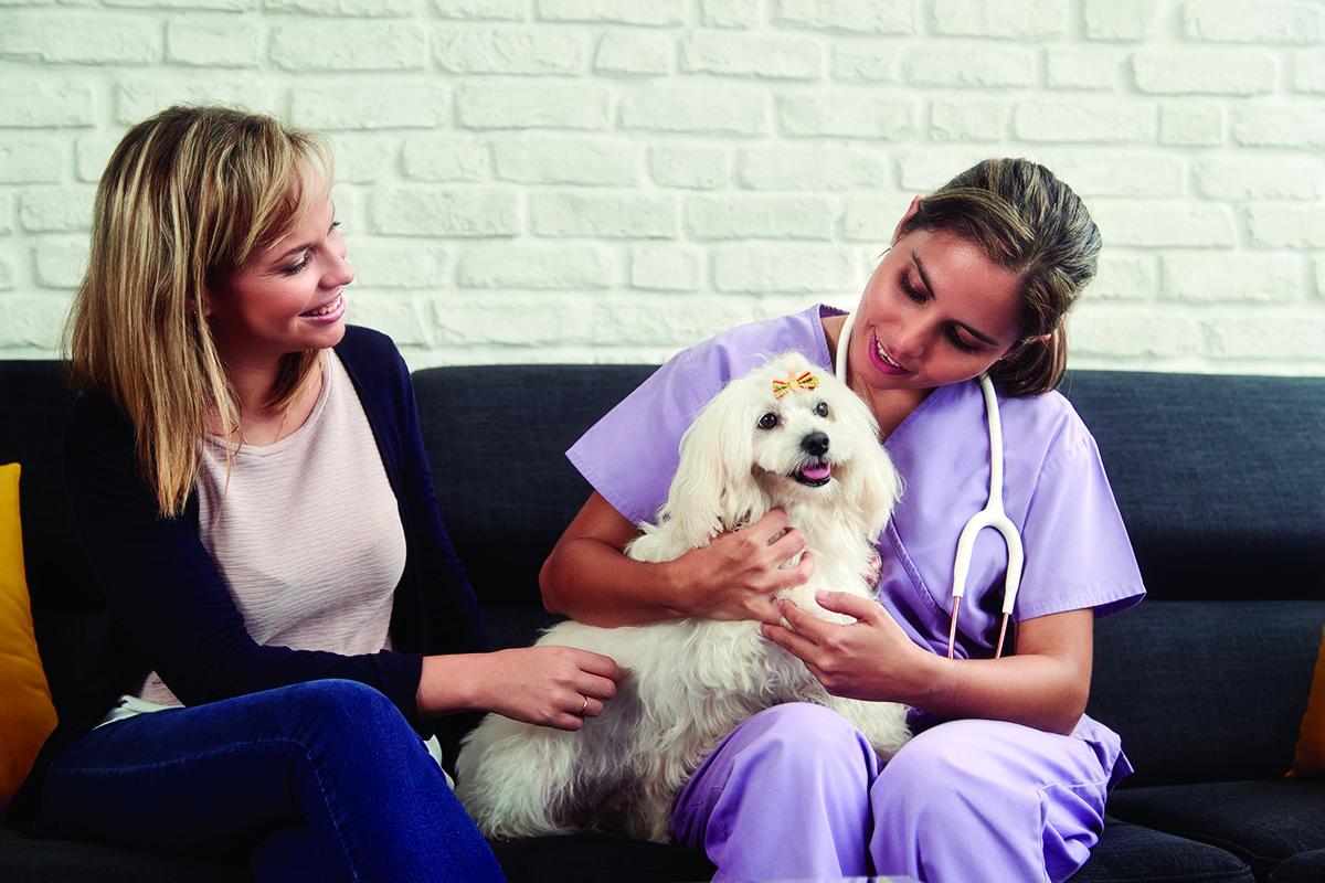 Veterinarian petting her client's dog.