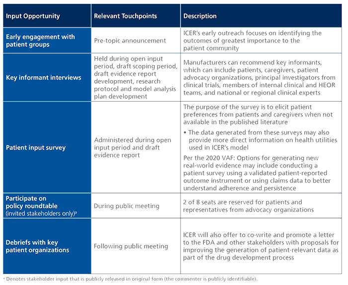 Key Patient Input Opportunities
