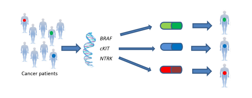 Figure 1. Precision Medicine Guiding Treatment Decision Making in Oncology